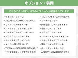 オプション多数装備！オプションの詳細はスタッフまでお気軽にお問い合わせください！