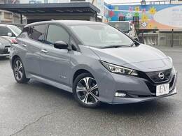ステルスグレーパール/スーパーブラックの2トーンカラー
