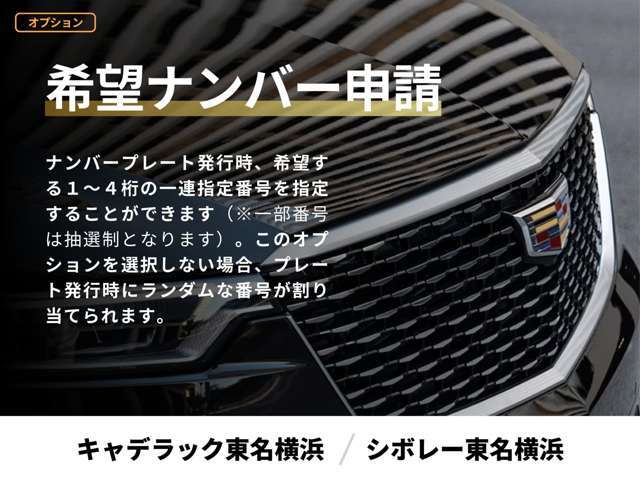 ナンバープレート発行時、希望する1～4桁の一連指定番号を指定することができます（※一部番号は抽選制となります）。このオプションを選択しない場合、プレート発行時にランダムな番号が割り当てられます