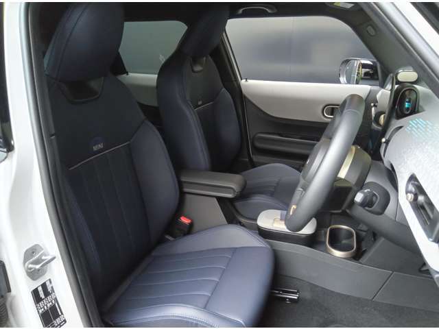 べスキン　ナイトシェード・ブルー