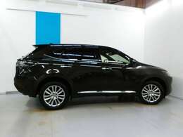 人気のダークブラウンメタリックです。