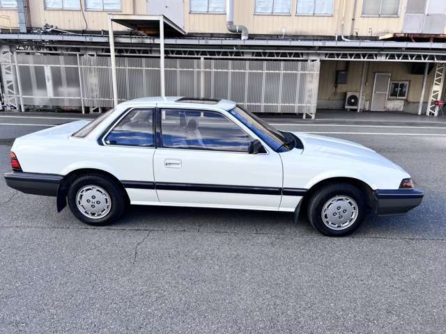 きれいな個体です(^^)/