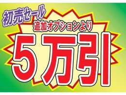 ！期間限定　1月末日まで！ ☆☆初売りセール実施中！！オプション5万引きセール実施中☆☆細かな条件・必須オプション無し！追加オプションより価格調整！！この機会を是非お見逃しなく((^^)