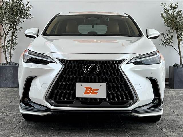BUDDICAは、『車を売る』プロではなく、『車を安く仕入れるプロ』とお考え下さい。