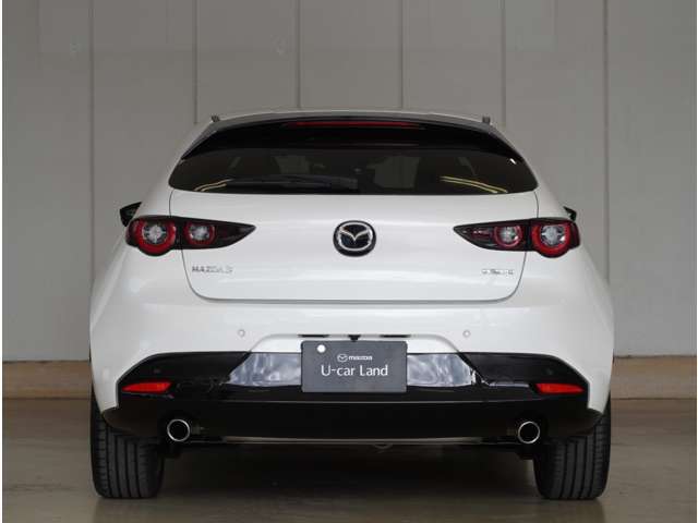 ボリューミーなこのヒップラインは力強さを演出しながらも、しなやかさをまとったデザインとなっており、数年経過しても衰えを感じません。