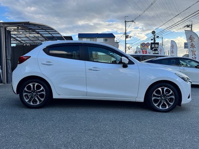 人気のボデーカラー