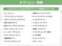 オプション多数装備！オプションの詳細はスタッフまでお気軽にお問い合わせください！