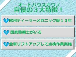 欧州ディーラーメカニック歴10年の営業マンが担当致します！国家整備士もいるので販売以外の従業員も充実しております。全車リフトアップをしたうえで点検作業を行っておりますので安心してお乗りください！