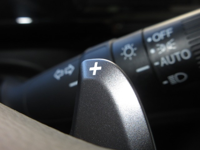 マニュアル車のような感覚で、ワインディングロードでも車を操れるパドルシフト付きです。長い下り坂でのエンジンブレーキや、高速道路の合流の際の加速も思いのままです。