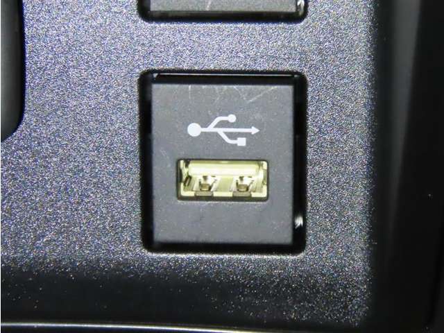 USB端子を装備しております。
