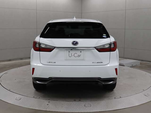 運転席およびバックドアのスイッチ、または電子キーの操作で、バックドアの自動開閉や一時停止が行えます。手動で閉める場合には、イージークローザーが機能し、しっかり閉じるようサポートします。