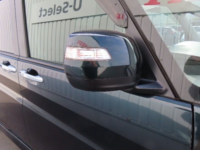 ドアミラーにウィンカーが付いて、周りの車に「ウインカー＆ハザード」を気付いてもらえる装備です。だから、安全・安心。
