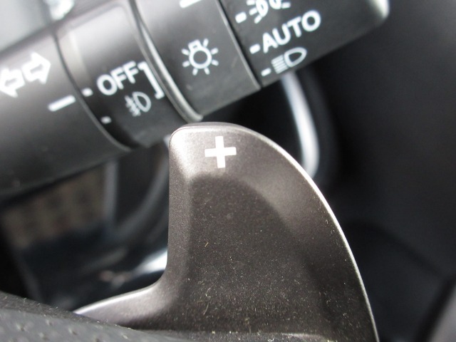 マニュアル車のような感覚で、ワインディングロードでも車を操れるパドルシフト付きです。長い下り坂でのエンジンブレーキや、高速道路の合流の際の加速も思いのままです。