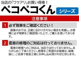 ペコペコくんシリーズの詳細説明です！！　コチラの車両は「ひょう害車」となりますので、画像の説明文をご確認くださいませ！！