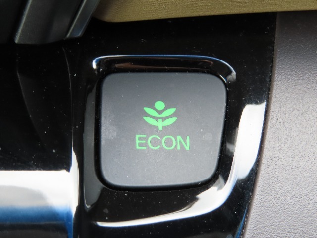 ECONボタン付きなのでアクセルを深く踏み込んでもスロットルが大きく開かないよう制御されますので燃費の向上も期待できます！