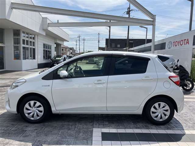自動車保険も取り扱っております。無料の証券診断も行っておりますので、お気軽にスタッフまでご相談下さい！