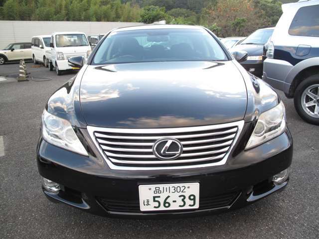 HIDオートライトです