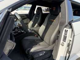 パノラマルーフ シャイニーカーボンフルエクステリアPKG ブラックドアハンドル エクステリアカラーBianco Icarus