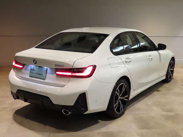 ホフマイスター・キンクはサイドビューをより精悍な顔つきへと仕立てます。