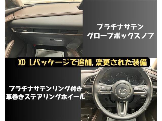 10、オプション確認