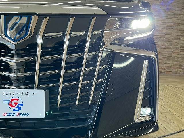 LEDヘッドを装備！夜道を照らします☆