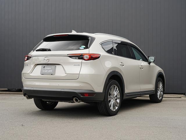 北米仕様の3列シートSUV「CX-9」を日本国内向けにリサイズすることで、重量に負けない強靭なボディの多人数SUVが誕生しました。