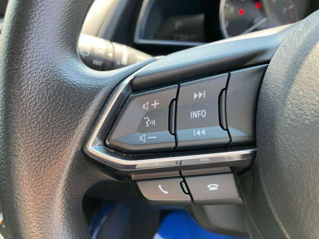 オーディオの音量などはハンドルのスイッチでわき見することなく安全に操作することができます。