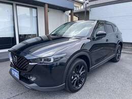 【カラー】ジェットブラックマイカ