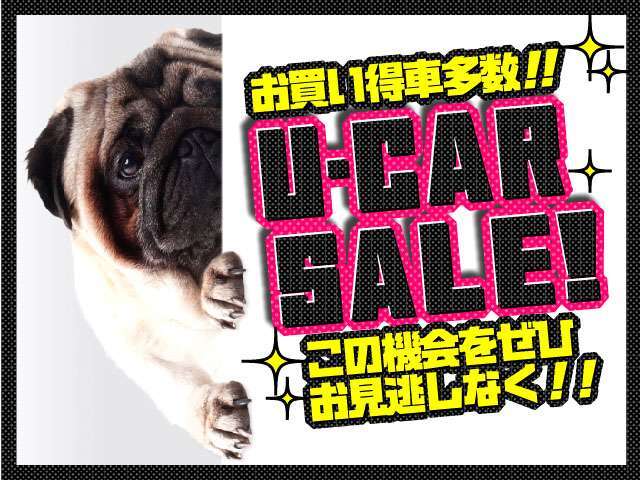 お買い得車多数！！この機会をぜひお見逃しなく！！
