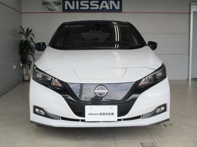 日産らしさを引き立てるフロントマスクの大きなVモーショングリル。NISSANロゴの上部に通常と急速、どちらも備えた充電口があります。