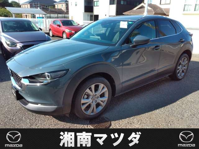 このサイズ感が人気です。