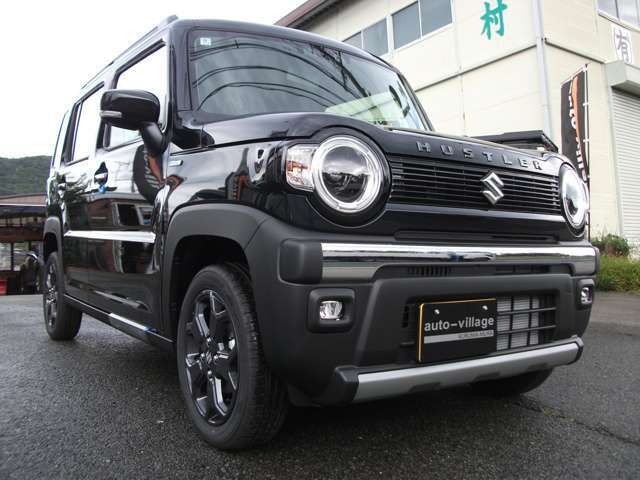 新しいグレードのタフワイルド☆　カラーも人気のブルーイッシュブラックパール3（ZJ3）♪