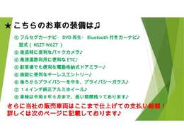 便利なカーナビ、バックカメラ、ETCが装備されています♪