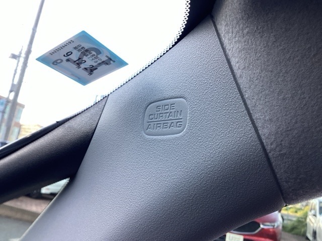 サイドカーテンエアバックシステムは、側面衝突時に大人から子供までさまざまな体格の乗員の頭部や頚部を広範囲で保護。特にセンターピラーへの頭部衝突を防ぐ展開性能を実現しています。