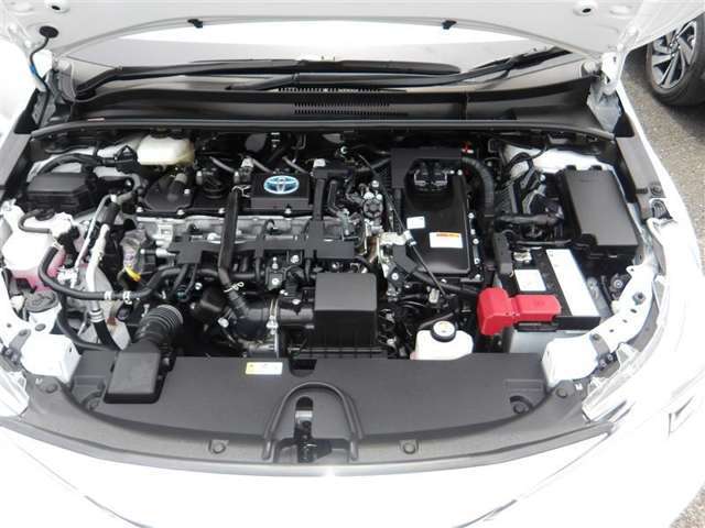 キレイなエンジンル-ム♪　油汚れを専用洗剤で落とし、高圧水で洗浄＆樹脂部分は、艶出し剤で磨き上げました☆☆☆ピカピカ、キレイ☆☆☆