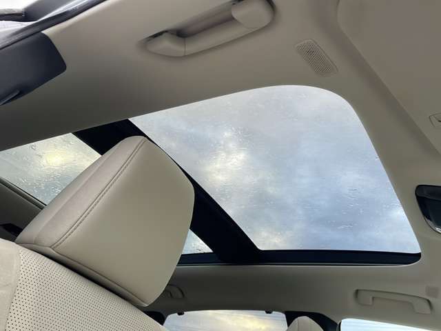 【天井】天張りにシミやへたりがなくきれいな状態です！