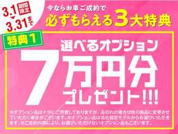 【3月限定】お車ご成約キャンペーン実施中！お車のご成約で7万円分オプションプレゼント！