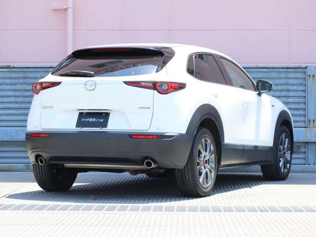 CX-30のエクステリアデザインは、小さなさざ波が周囲と連動しながら大きなうねりとなって拡散していく様子は、さながら光のアートです。