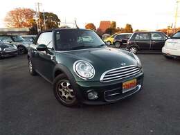 オプションカラーグリーン2