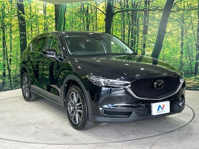 大好評のボディコーティング「弾スプラッシュコート」もご納車までに施工可能。通常のガラスコートと異なる、耐久年数6年の無機質ガラスコーティングが、ボディをキレイな状態に保ってくれます。