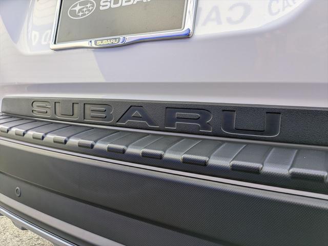 カーゴステップパネルとリアゲートガード装備！荷物の積み下ろしの際にキズが付きにくくなっております！