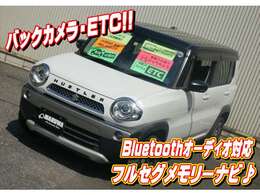 車両本体価格、自動車税、自動車重量税、自賠責保険、リサイクル料金、諸費用（登録費用、点検・整備費用、etc）など上記の合計を支払総額として表示しています。