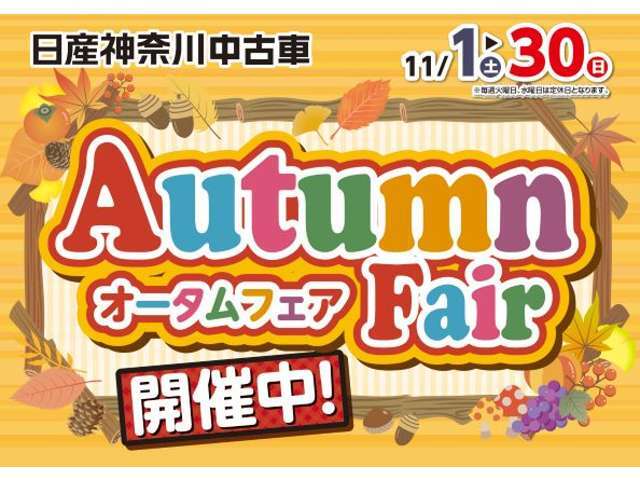 神奈川日産の在庫300台以上掲載中！ディーラーならではの試乗車から、下取り車まで様々なラインアップをご用意しております。
