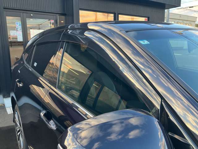 サイドバイザー！