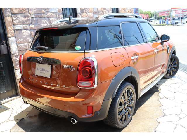 外装色はチェスナットです。