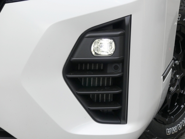 GRANDプレミアムGX専用装備：LEDフォグランプ