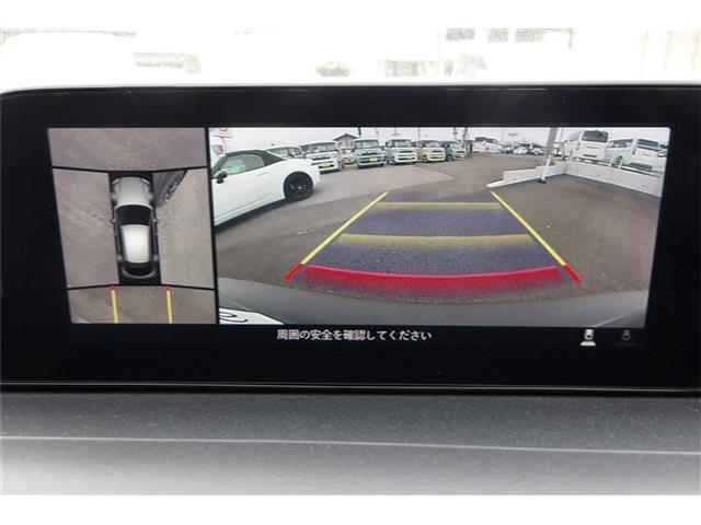 全周囲モニター付で、車庫入れも駐車もラクラクです。