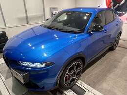 とても鮮やかなカラーです。