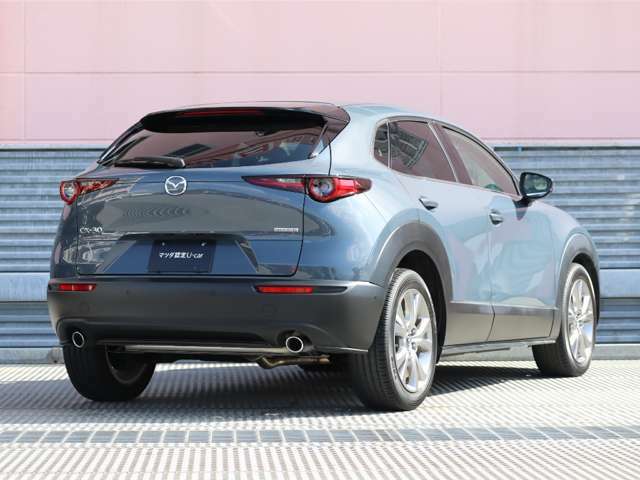 CX-30のエクステリアデザインは、小さなさざ波が周囲と連動しながら大きなうねりとなって拡散していく様子は、さながら光のアートです。