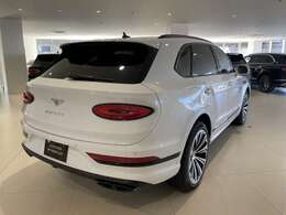 上品かつ迫力のある彫刻のように美しいテール